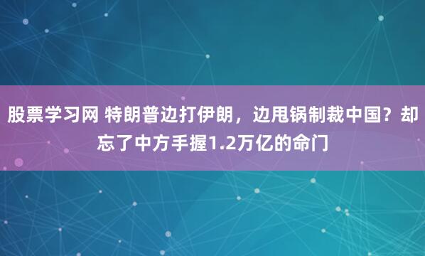 股票学习网 特朗普边打伊朗，边甩锅制裁中国？却忘了中方手握1.2万亿的命门